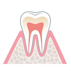 歯周病の進行段階 健康な状態